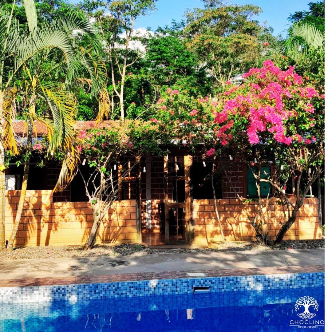 Choclino Ecolodge -Bungalows Tarapoto Esterno foto