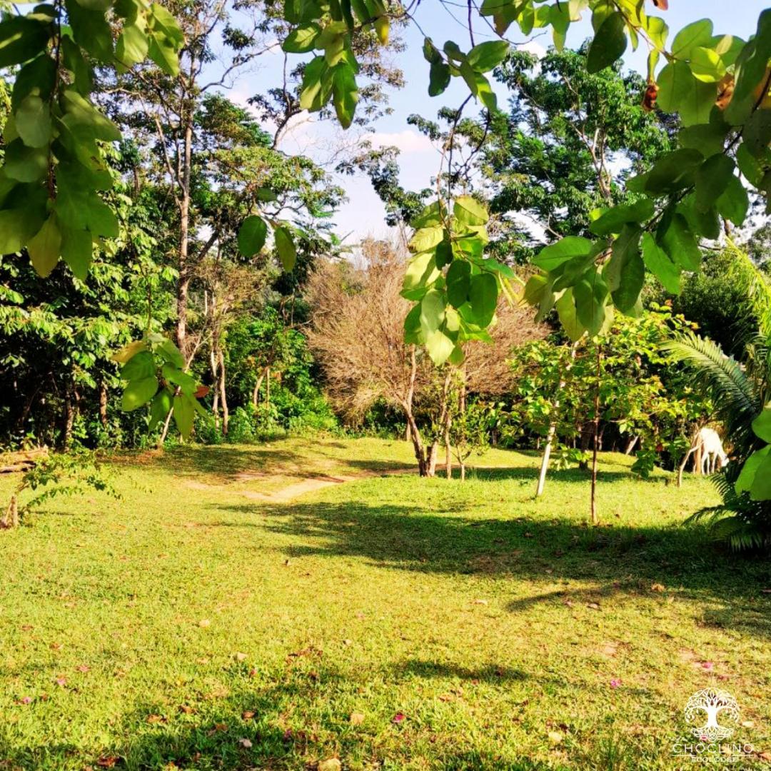 Choclino Ecolodge -Bungalows Tarapoto Esterno foto