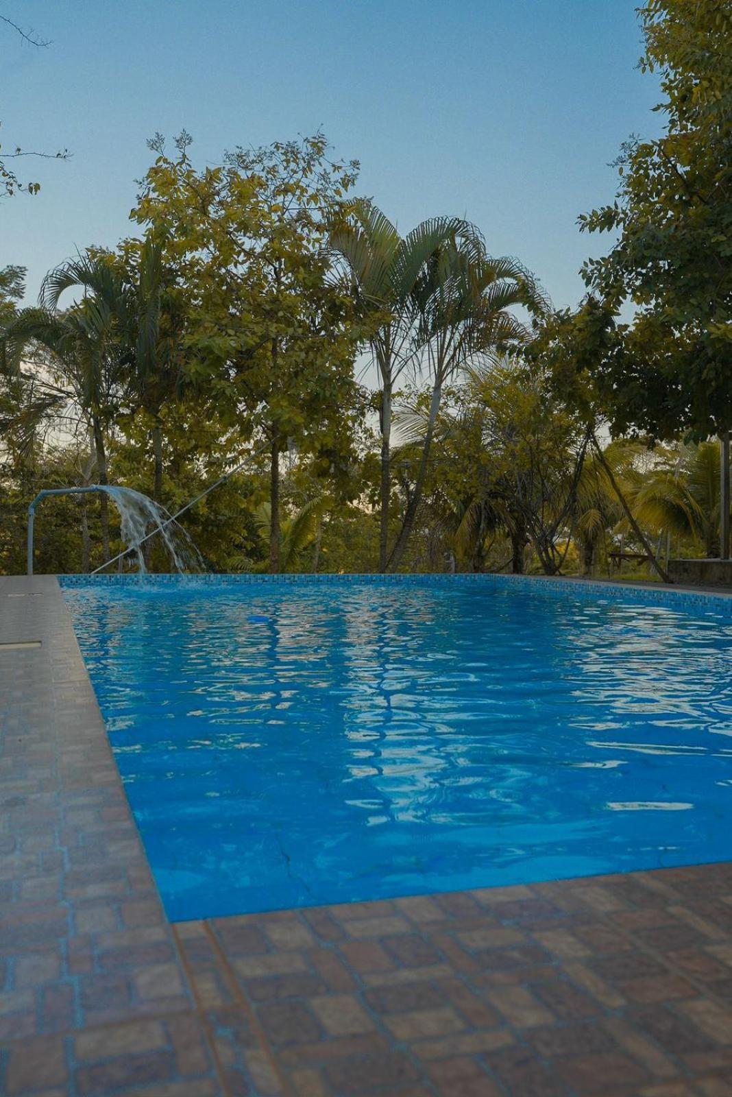 Choclino Ecolodge -Bungalows Tarapoto Esterno foto